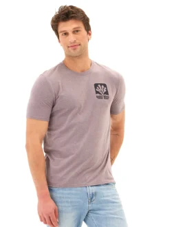 Triblend Graphic Tee