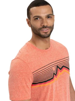 Triblend Graphic Tee