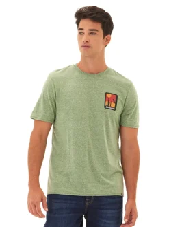 Triblend Graphic Tee
