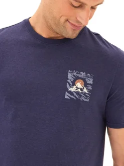 Triblend Graphic Tee