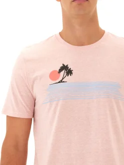 Triblend Graphic Tee