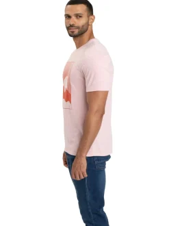 Triblend Graphic Tee
