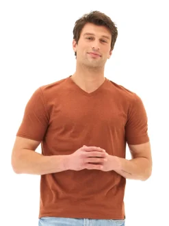 Triblend V-Neck Tee